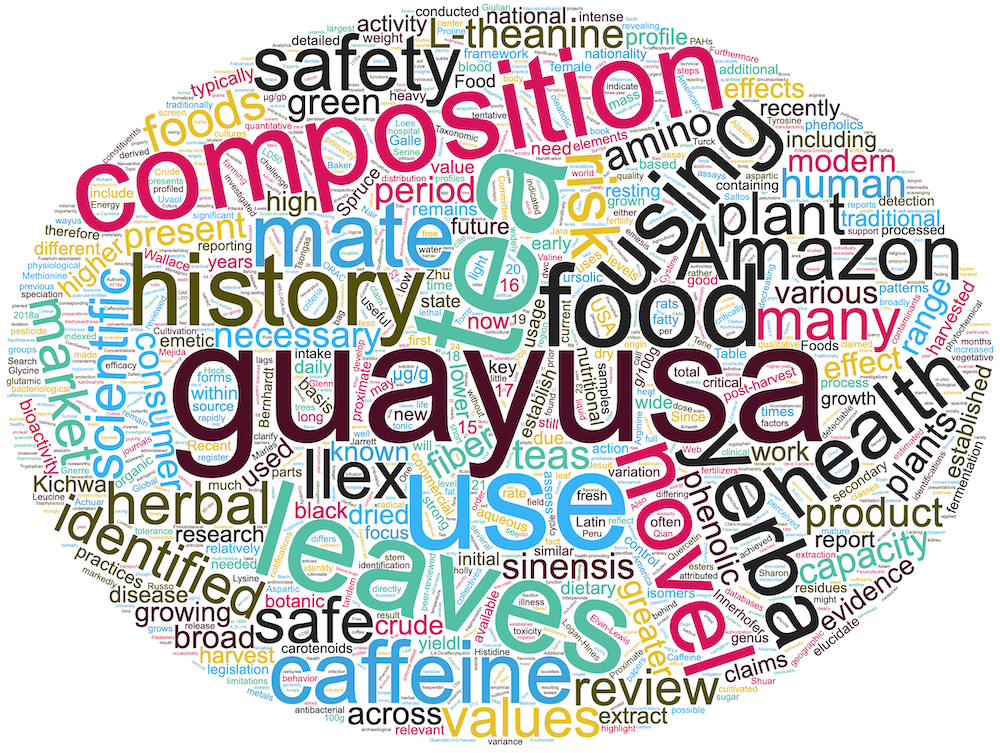 guayusa composition wordcloud